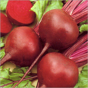 Beetroot