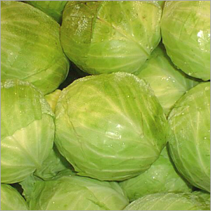 Cabbages