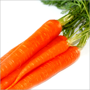Carrot Bsp