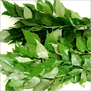 Curryleaves