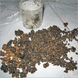 Food Ingredients