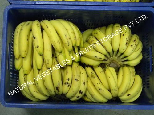 Banana Ripening Chamber