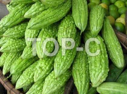 BITTER GOURD