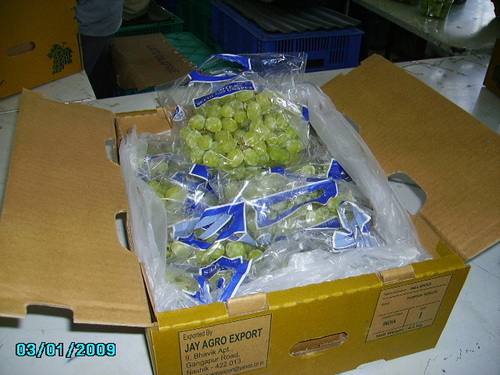 Grapes