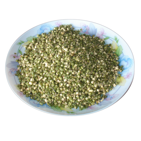 Sprouted Moong