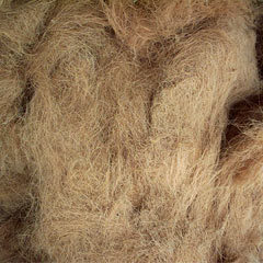 FIBRE