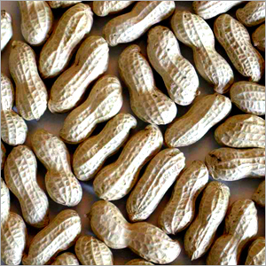Ground Nuts
