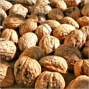 Walnut Kernal