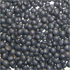Black Beluga Lentils