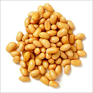 Soya Beans