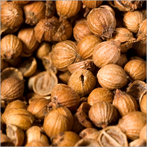 Coriander Seeds