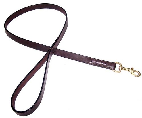 Dog Leashes