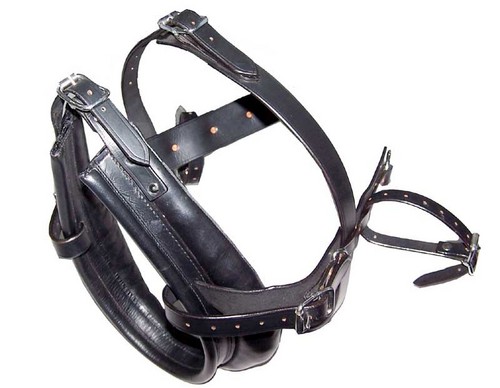 Dog Harness