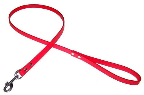 Leather Leashes