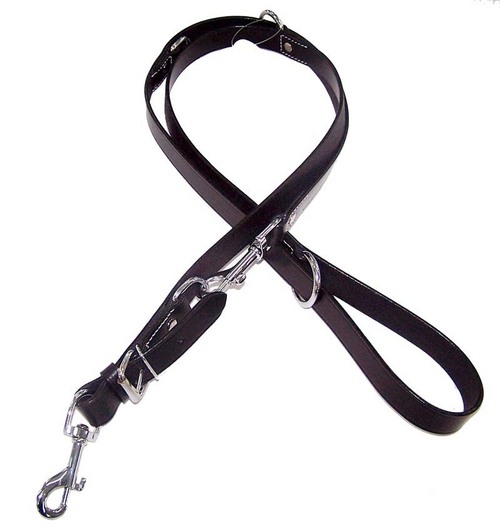 Leashes