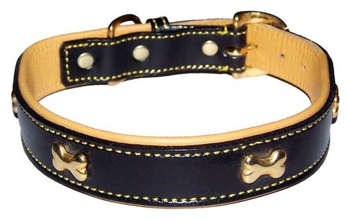 Leather Dog Collar