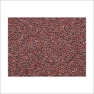 Black Mustard Seed (Khamani)
