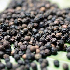 Black Pepper