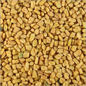 Fenugreek Seeds
