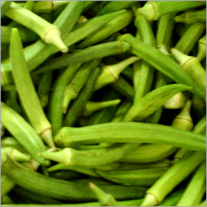 Lady Finger