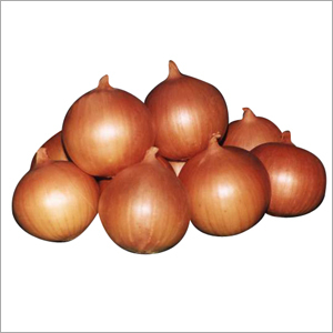 Onion - Brown, Round, Variable Size | Fresh, Flavorful, Versatile, Nutritious, Firm Texture
