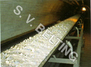 Chemical Resistant Conveyor Belt