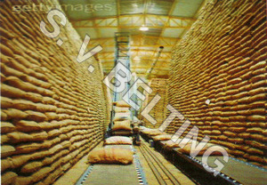 Bag Diverted Conveyor Belt