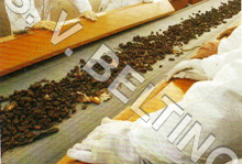 Heat Resistant Conveyor - Heat-Resistant Material, Easy Handling, Low Maintenance , Flawless Performance, Low Power Consumption, Robust Build, Long Life