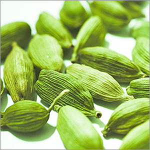 Cardamom