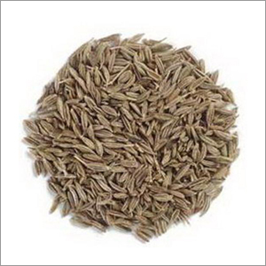 Cumin Seeds