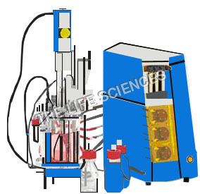 Fermentor