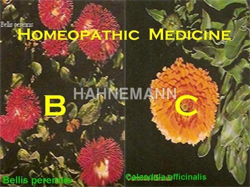 Homeopathic Medicines