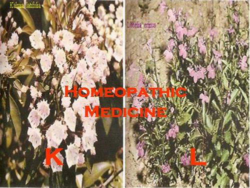Homeopathic Medicines