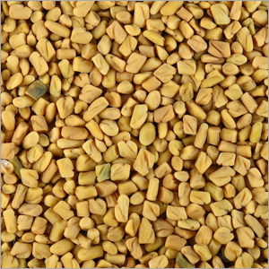 Fenugreek Seeds
