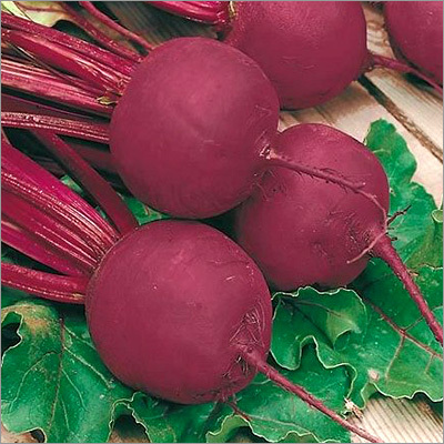 Beetroot Bolthardy