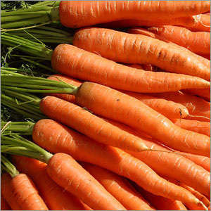 Carrots