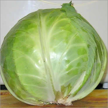 Cabbage