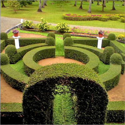 Garden Maintenance