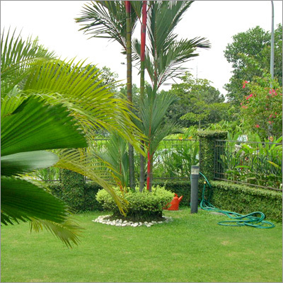 Garden Landscape