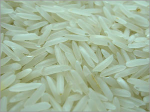 Basmati