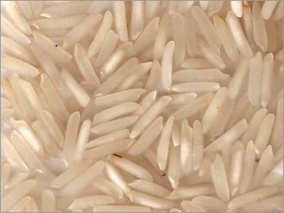 Basmati Rice