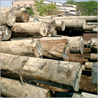 Malayasian Kapur Wood