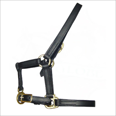 Horses Halters