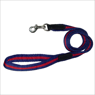 Pet Collars