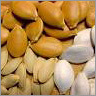 plant Seeds