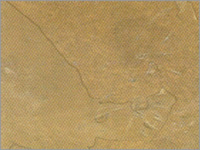 Golden Goose Sandstone