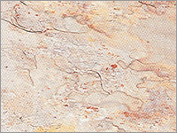 Indian Autumn Slate Stone