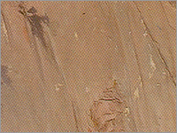 Pure Pink Slatestone