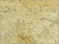 Tandoor Yellow Limestone