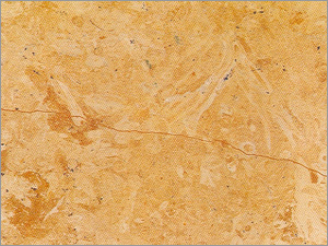 Navya Gold Limestone